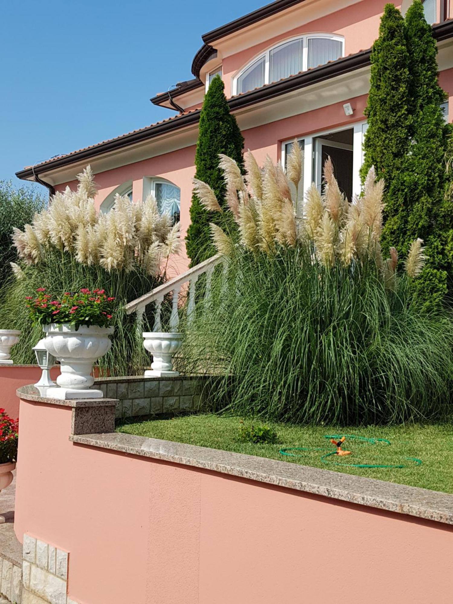 Apartments And Rooms Villa Chiara กรินิตซา ภายนอก รูปภาพ